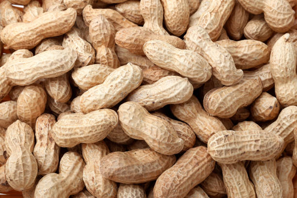 Unpeeled Groundnuts